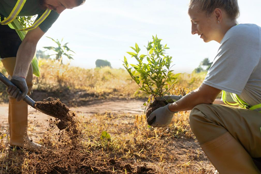 Countryside holidays